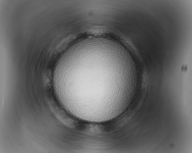 X0000115650073200911241744