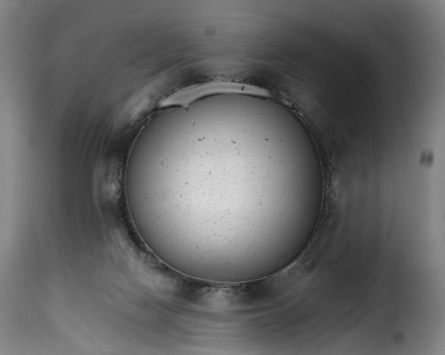 X0000115650074200911241744