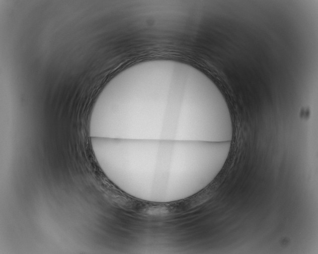 X0000115650075200911241744