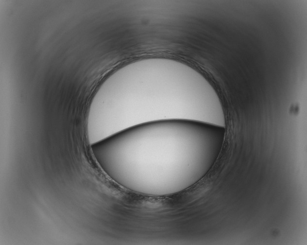 X0000115650076200911241744