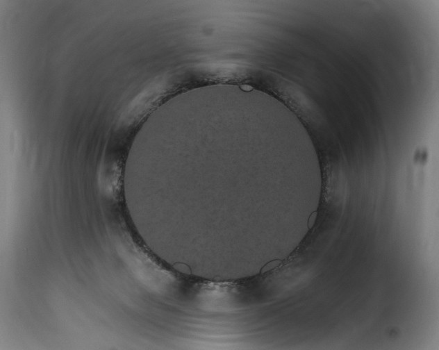 X0000115650077200911241744