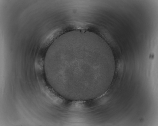 X0000115650078200911241744