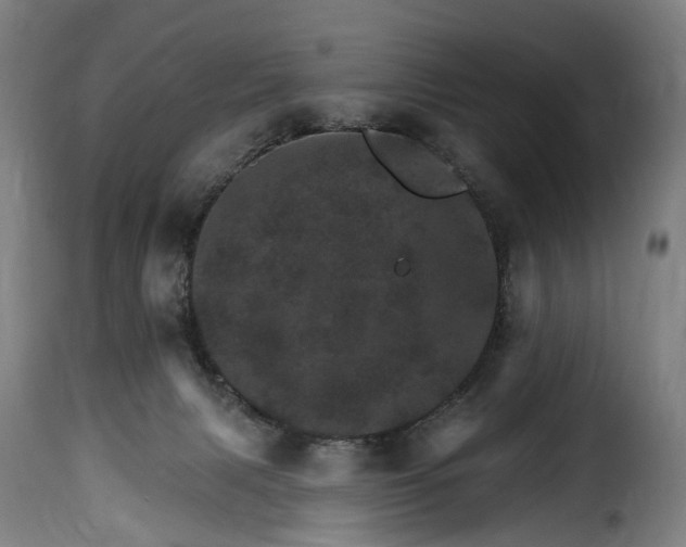 X0000115650079200911241744