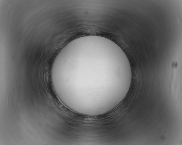 X0000115650080200911241744