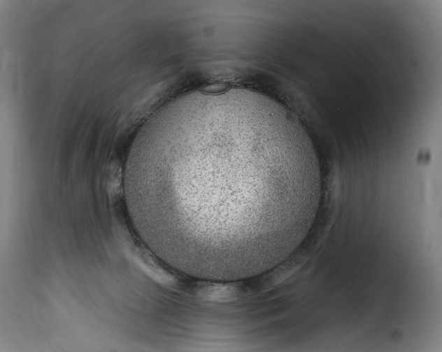 X0000115650081200911241744