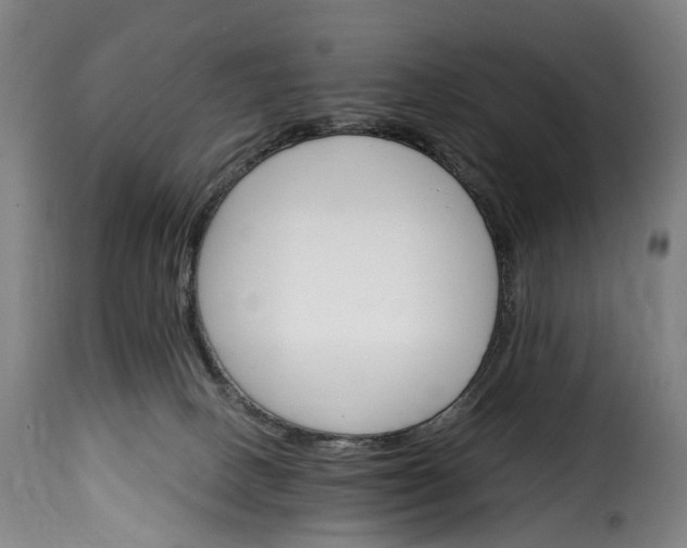 X0000115650082200911241744