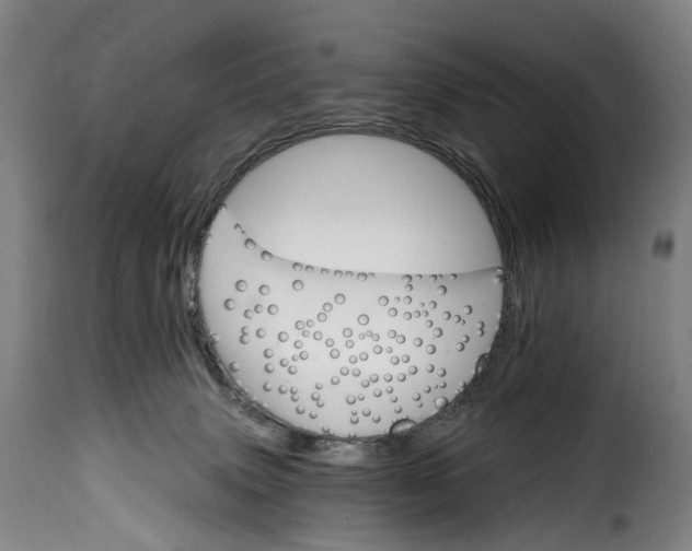 X0000115650083200911241744