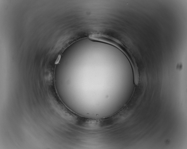 X0000115650084200911241744