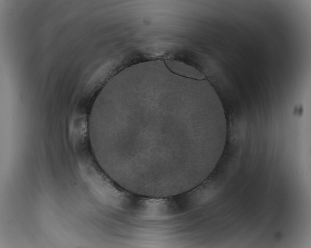 X0000115650085200911241744