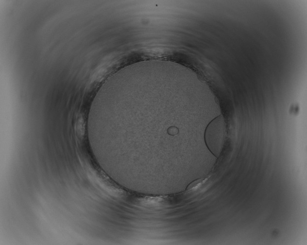 X0000115650086200911241744