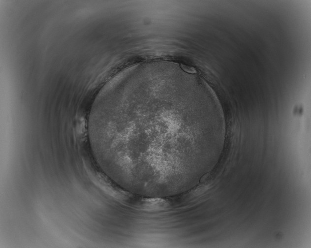 X0000115650087200911241744