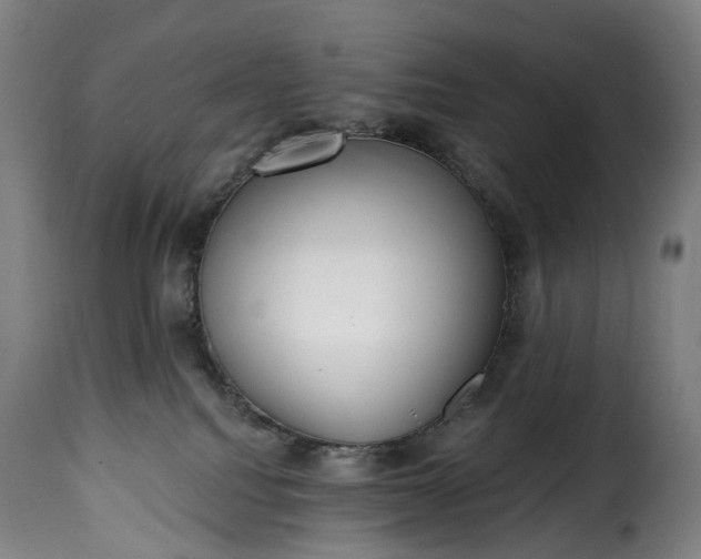 X0000115650088200911241744