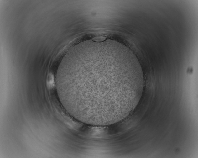 X0000115650089200911241744