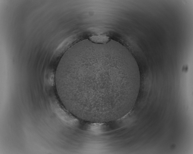 X0000115650090200911241744