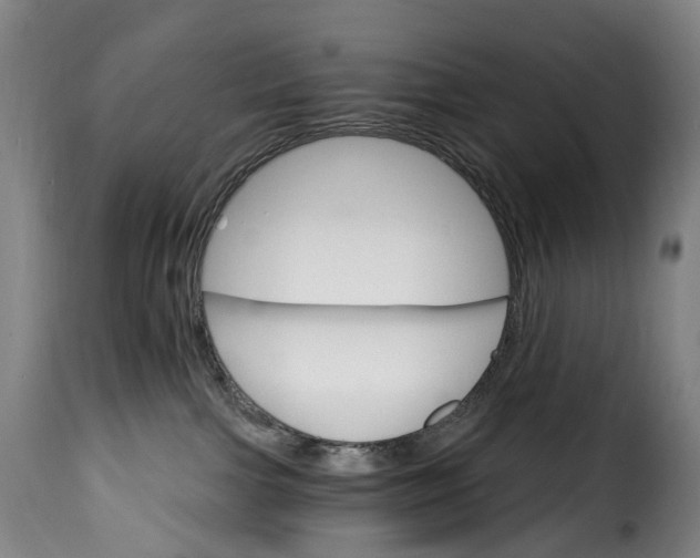 X0000115650091200911241744