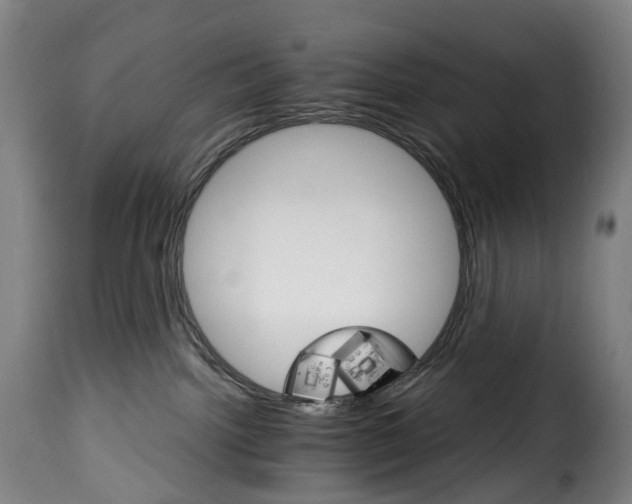 X0000115650092200911241744