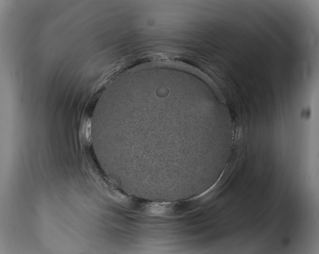 X0000115650094200911241744