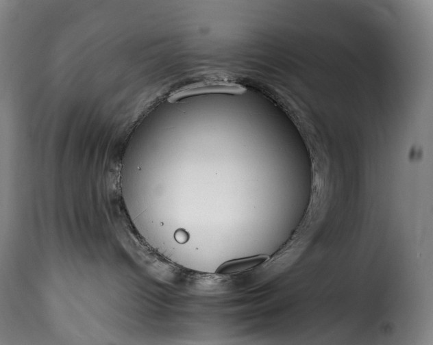 X0000115650096200911241744