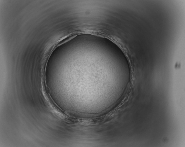 X0000115650097200911241743