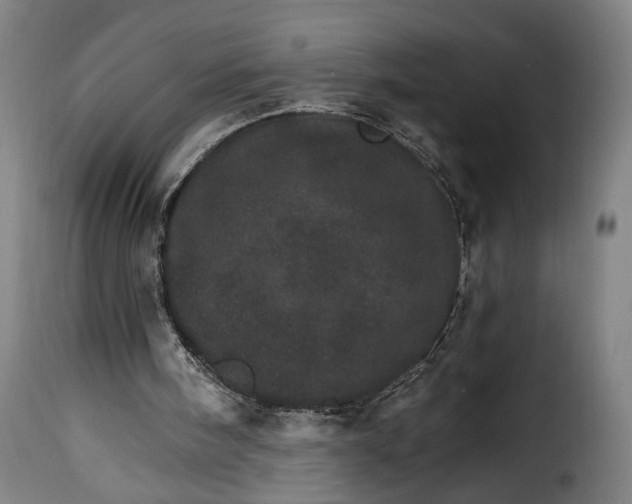 X0000115650098200911241743