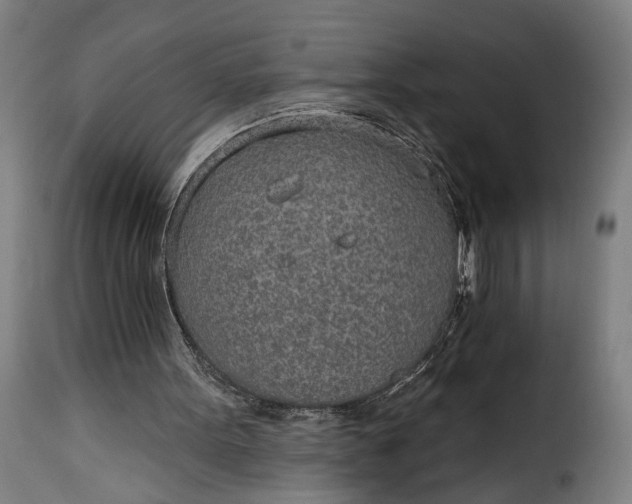 X0000115650099200911241743