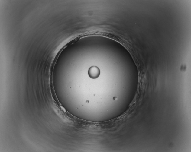 X0000115650100200911241743