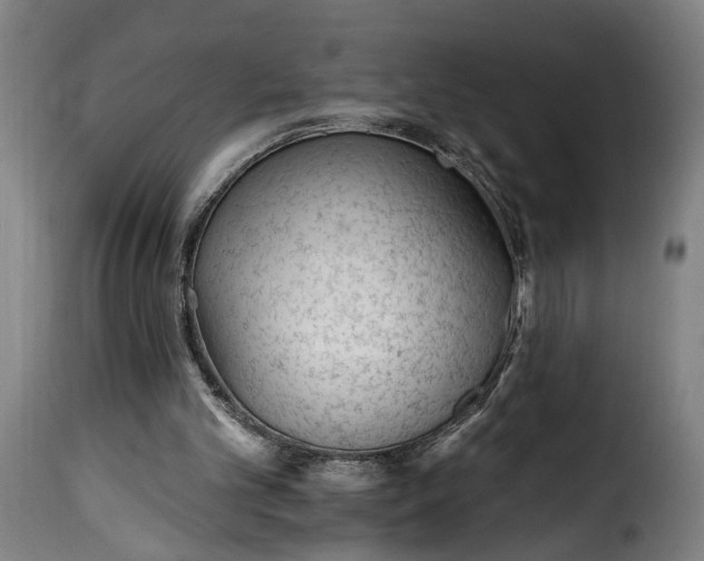 X0000115650101200911241743