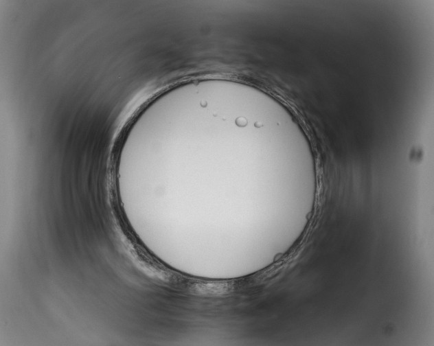 X0000115650102200911241743