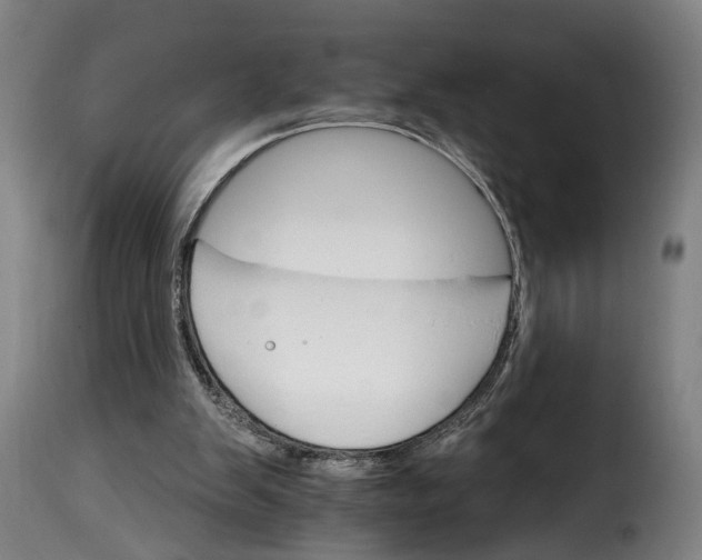 X0000115650103200911241743