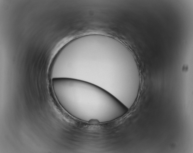 X0000115650104200911241743