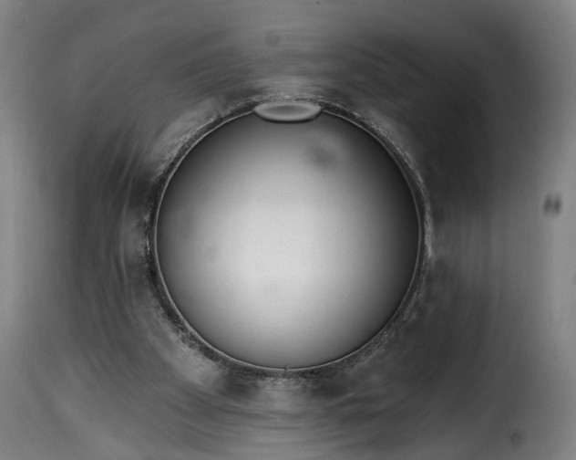 X0000115650105200911241743