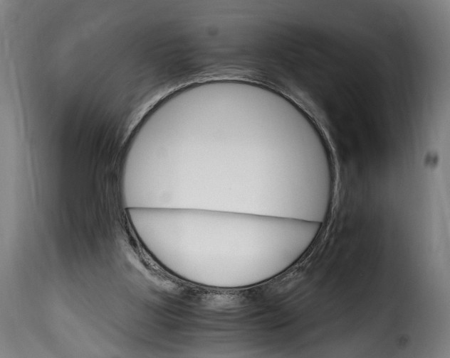 X0000115650107200911241743