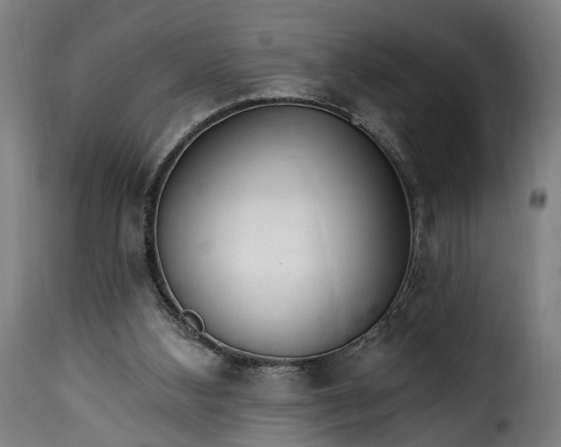 X0000115650108200911241743