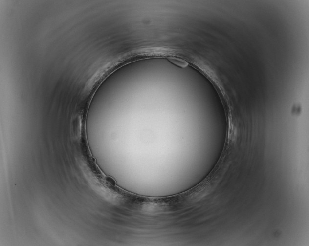 X0000115650109200911241743