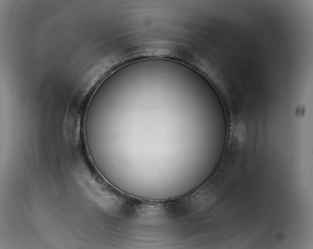 X0000115650110200911241743