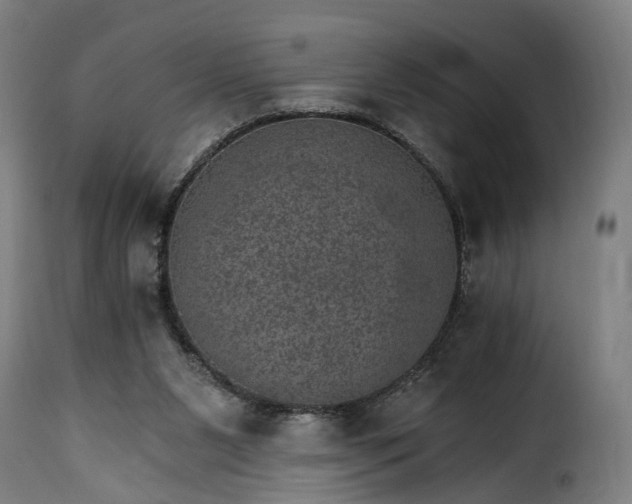 X0000115650111200911241743