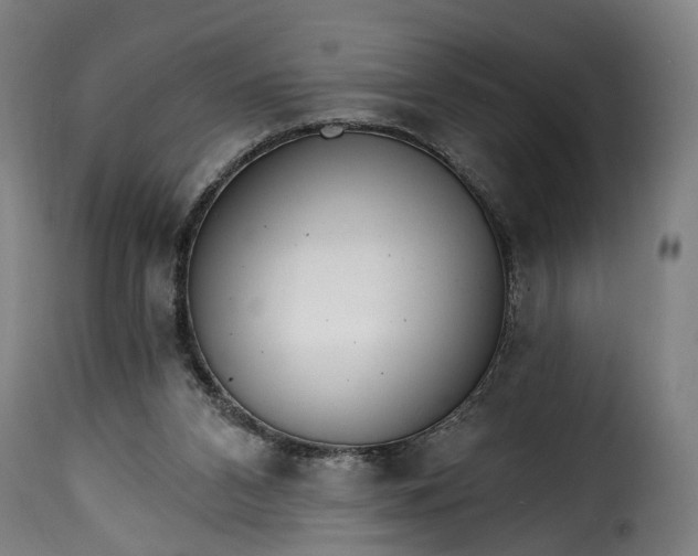 X0000115650112200911241743