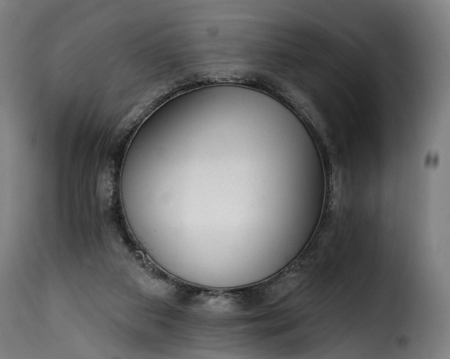 X0000115650113200911241743