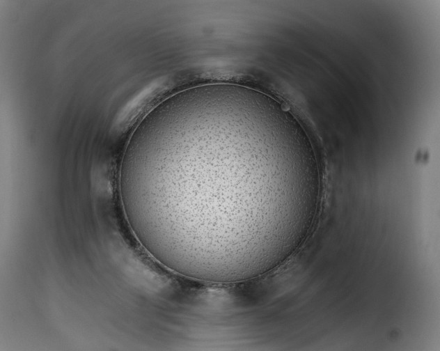 X0000115650114200911241743