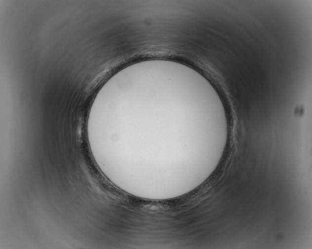 X0000115650115200911241743