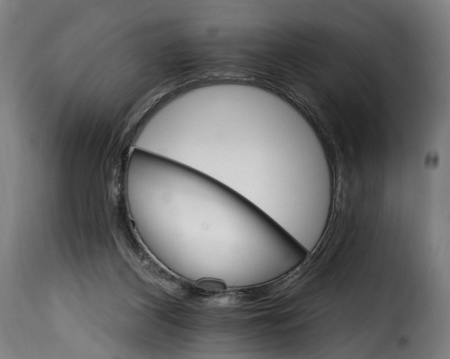 X0000115650116200911241743