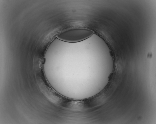 X0000115650117200911241743