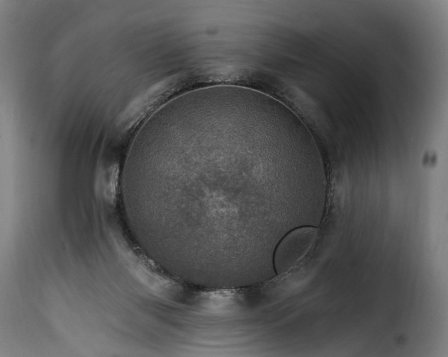 X0000115650118200911241743