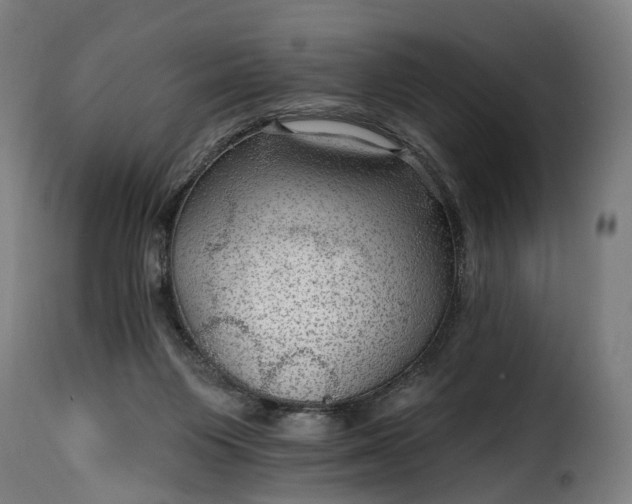 X0000115650119200911241743