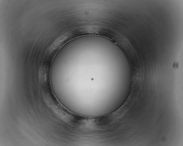 X0000115650120200911241743