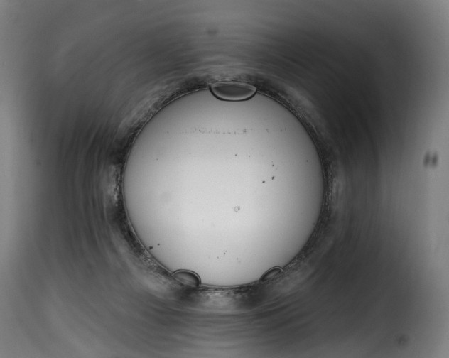 X0000115650121200911241743