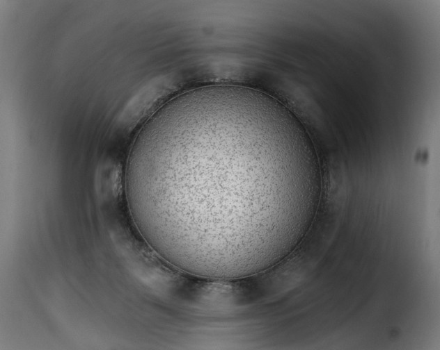 X0000115650123200911241743