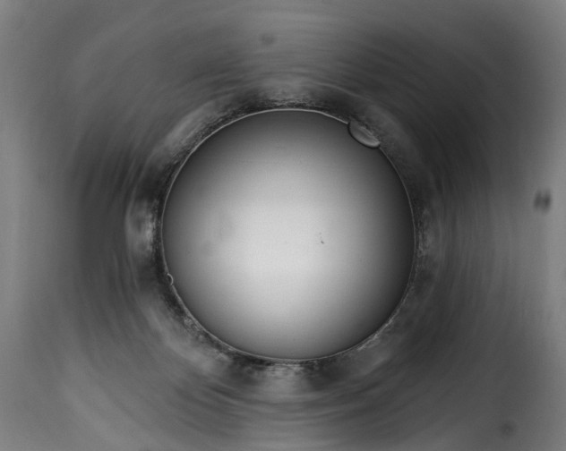 X0000115650124200911241743