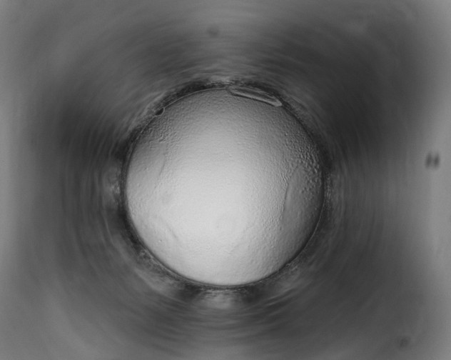 X0000115650127200911241743