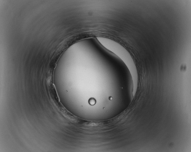 X0000115650129200911241743